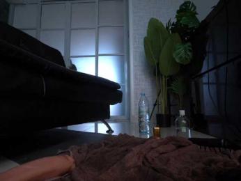 delpogorlo bongacams stream image