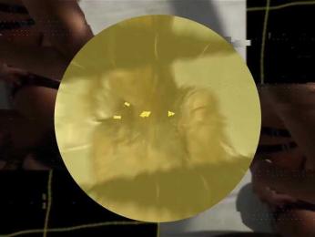 seilyfox bongacams stream image