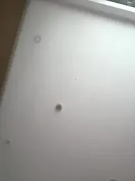 AndreaMood stripchat stream image