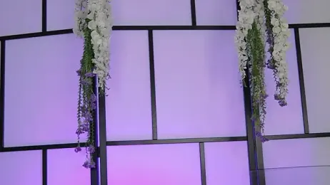 Xenomy stripchat stream image