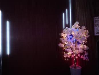 xforyoureyesonlyx chaturbate stream image