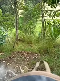 Cuervo_maniaco stripchat stream image