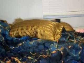 laylared camsoda stream image