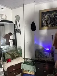 CRAZY-BOY99 stripchat stream image