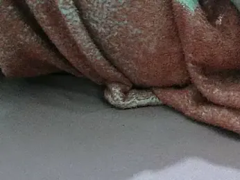 FUN4TIPS stripchat stream image