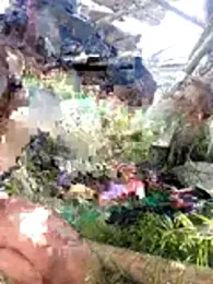 Andypie6 stripchat stream image