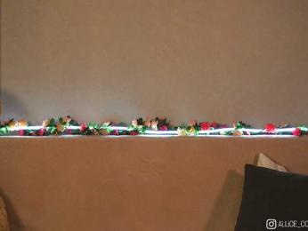 AliceCost bongacams stream image