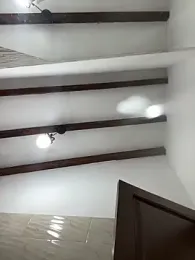 Arilw stripchat stream image