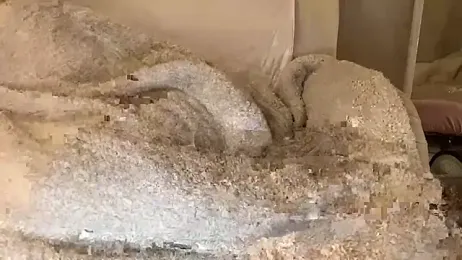 18yoteenvirgin stripchat stream image