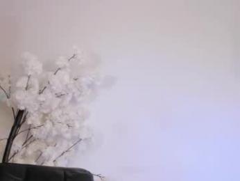 sweetsalice__ chaturbate stream image, 02.02.2026 02:00