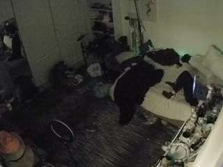 voyeurcam-hornyhostel-02 camsoda stream image