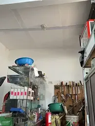 Paul22cm- stripchat stream image