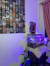 CRAZY-BOY99 stripchat stream image