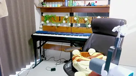 IroManager stripchat stream image