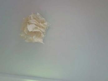 -Miray- bongacams stream image