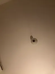 SophiiaStarr stripchat stream image