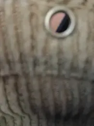 MILFBARBY stripchat stream image