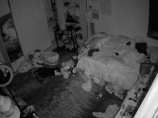 voyeurcam-hornyhostel-02 camsoda stream image