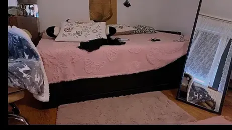 elacoquette stripchat stream image