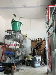 Paul22cm- stripchat stream image