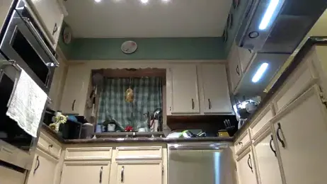 superbearboss stripchat stream image, 04.04.2026 23:20