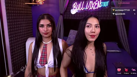 bull_vixen2001 stripchat stream image, 02.05.2026 06:30