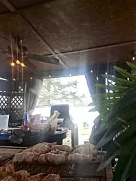 thickdaddy2982 stripchat stream image