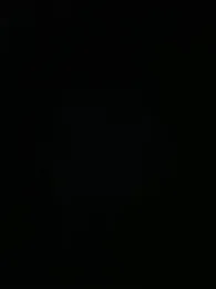 Lina_twin stripchat stream image