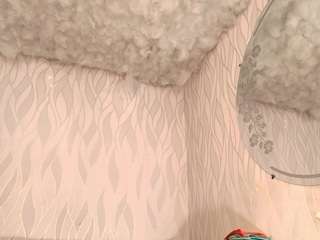 begoniia camsoda stream image