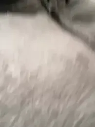 oizoe stripchat stream image