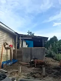 thickdaddy2982 stripchat stream image