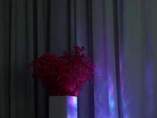 maycrute camsoda stream image